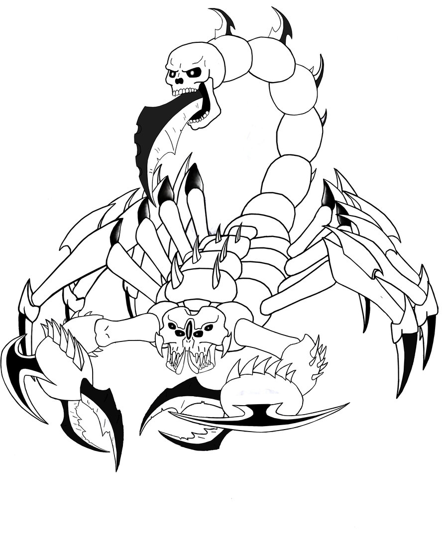 900x1123 Drawings Of Scorpions Scorpion Drawing Free Download Clip Art