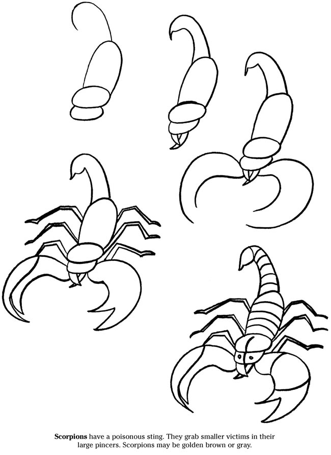 650x893 2013 07) A Scorpion Art And Design Superboards