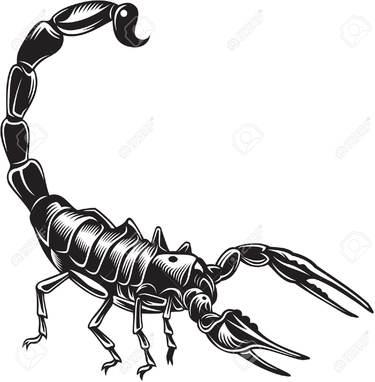1274x1300 Scorpion, Black And White Style Royalty Free Cliparts, Vectors