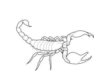 330x250 Scorpion Home, Llc Belleville, Il 62226