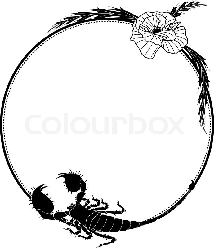 690x800 Vector Frame With Flowers Of Poppy And Scorpion Stock Vector