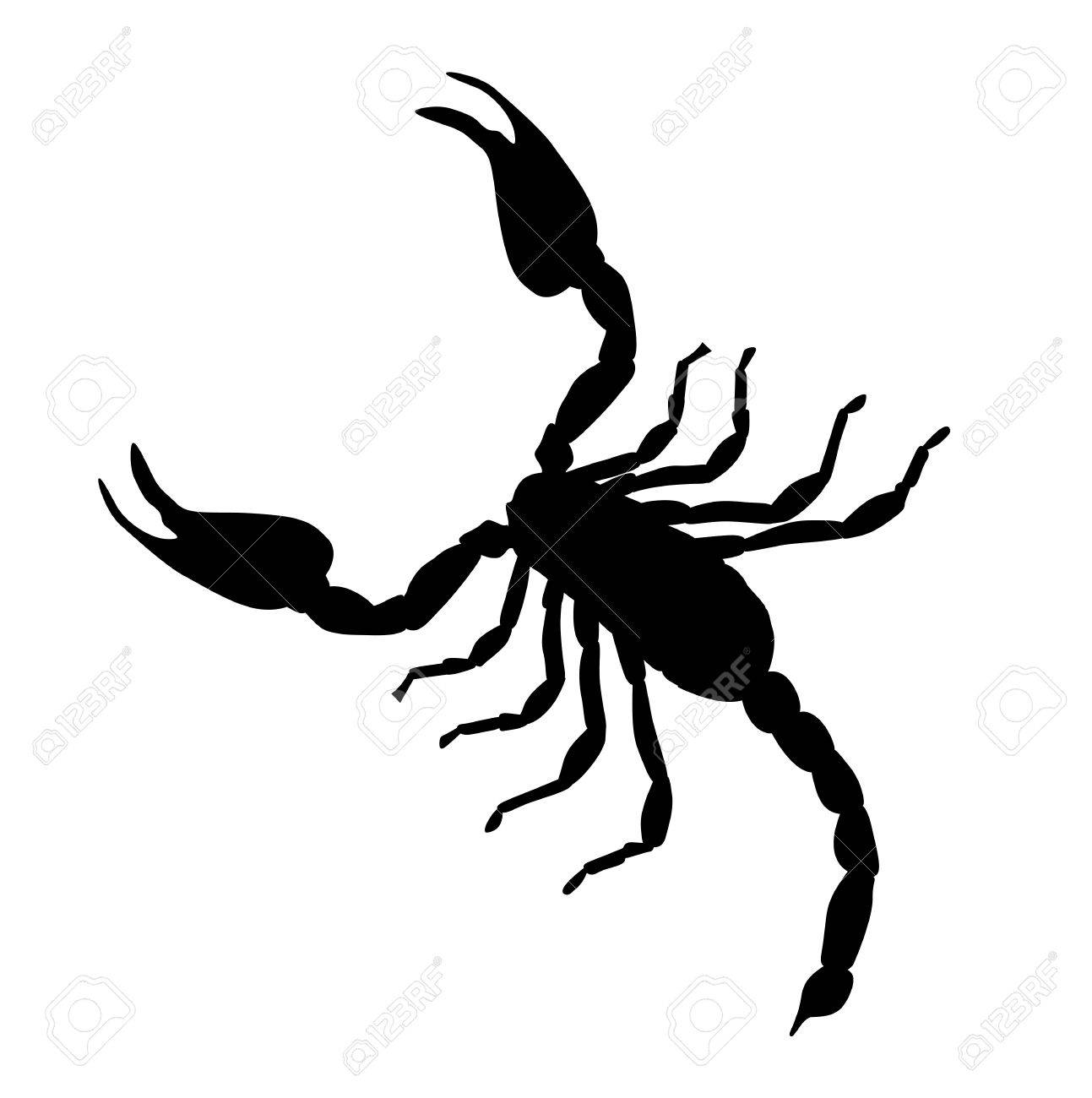 1293x1300 Black Large Scorpion Silhouette Royalty Free Cliparts, Vectors
