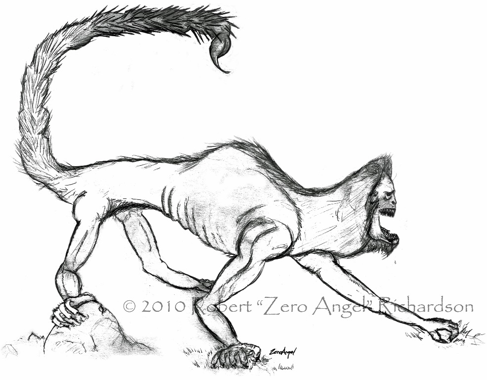 985x768 Wotaoriginal My Concept