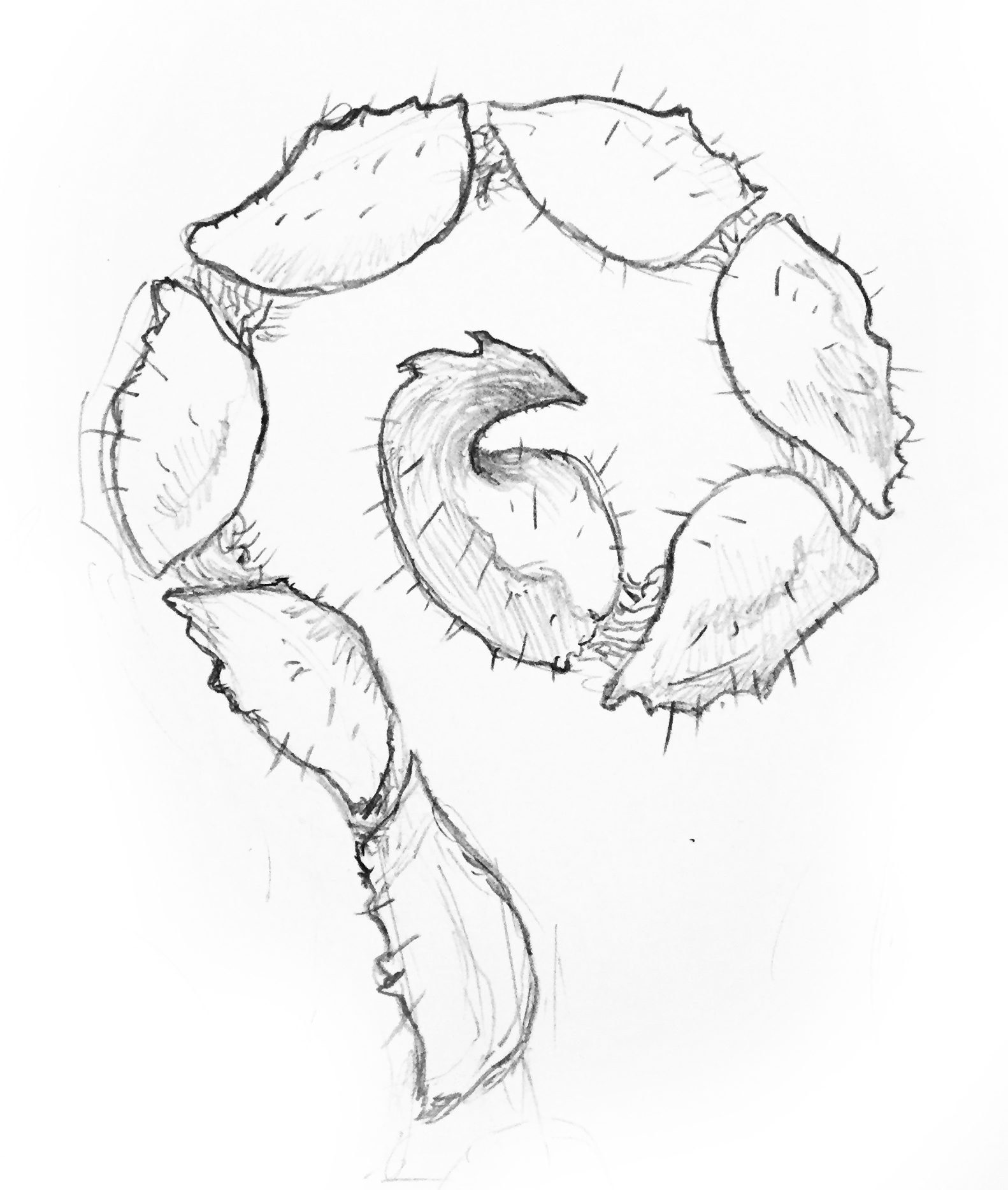 1582x1867 Writing Progress, December 2017 James Derry