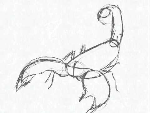 480x360 Scorpion Drawings Part 2