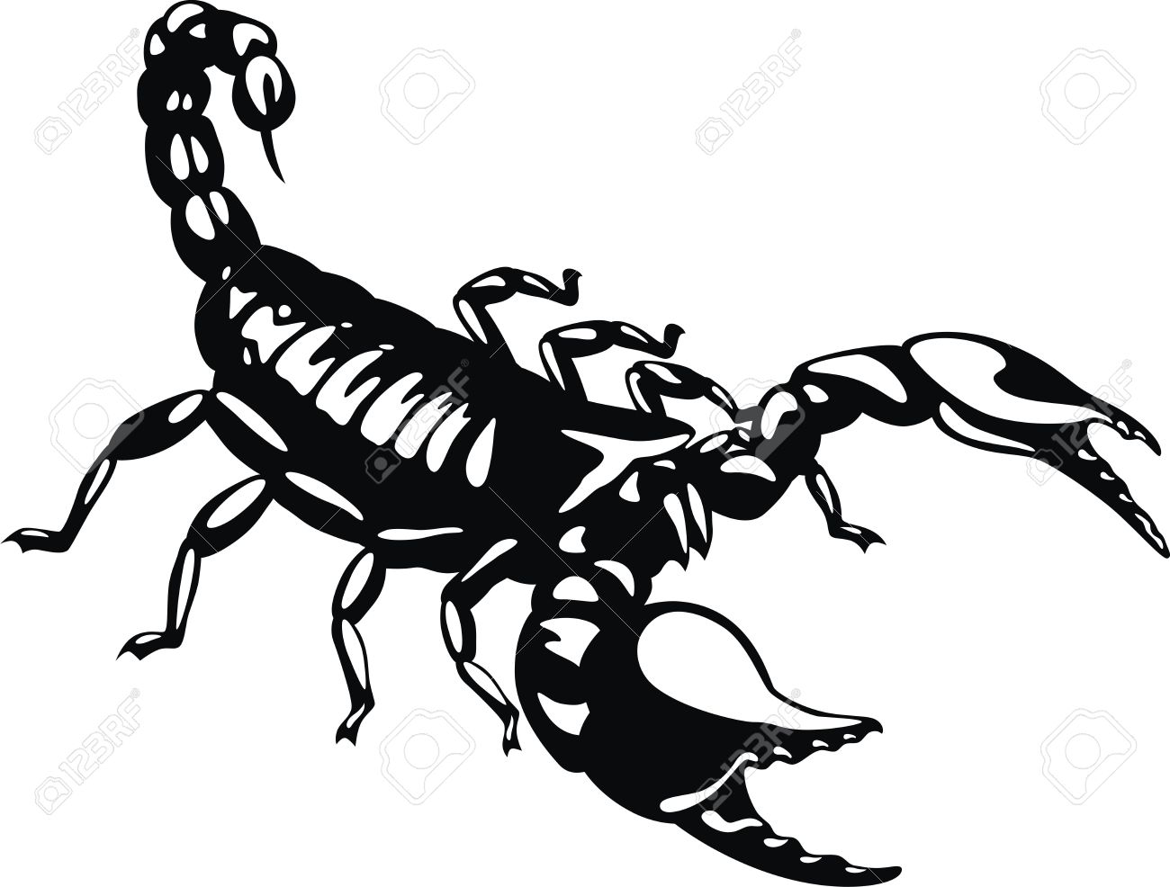 Scorpion Tail Drawing at GetDrawings | Free download