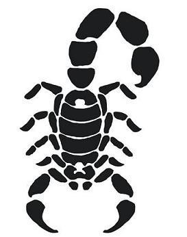273x346 Interesting Designed Simple Black Ink Scorpion Tattoo