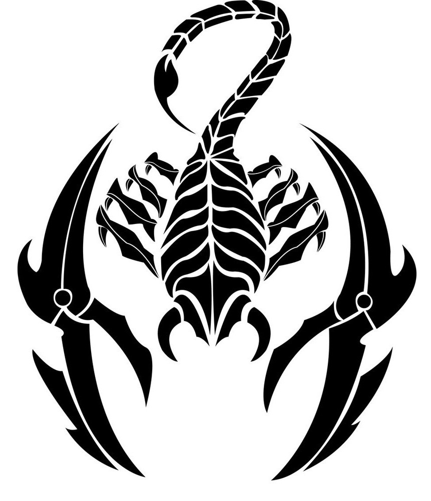 861x1002 Scorpio Tattoos Designs, Ideas And Meaning Tattoos For You