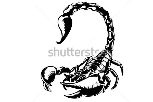 600x400 Scorpion Tattoo Design Templates Free Amp Premium Creative Template