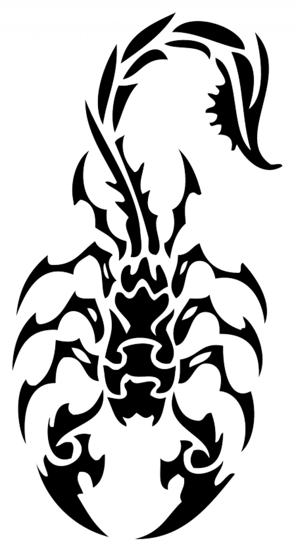 Scorpion Tattoo Drawing at GetDrawings | Free download
