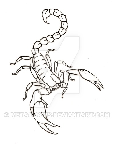 400x504 Scorpion Tattoo By Metacharis