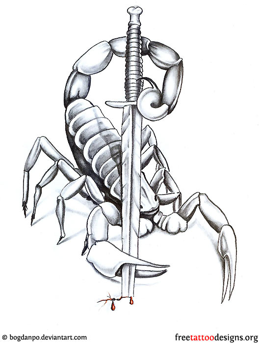 530x700 Scorpion And Dagger Tattoo Design Projetos Para Experimentar