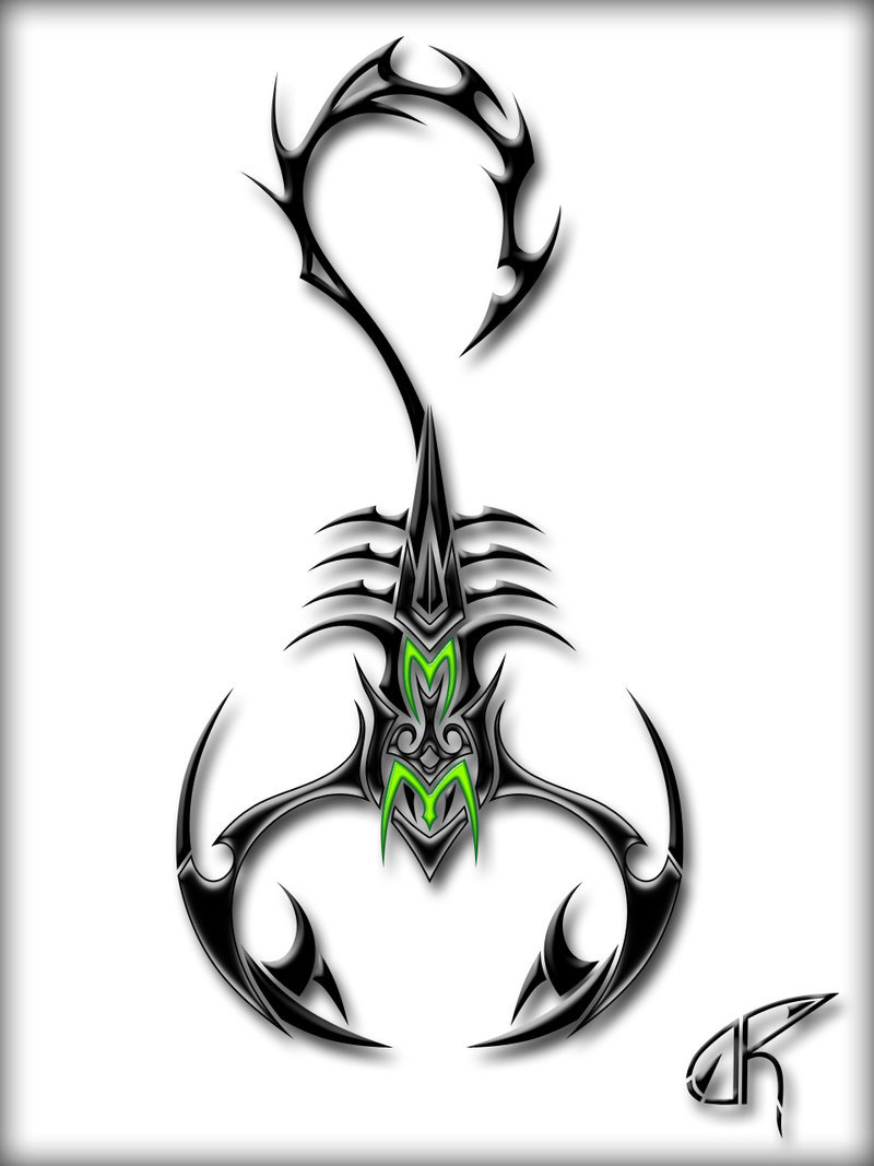 800x1067 Scorpion By Democris
