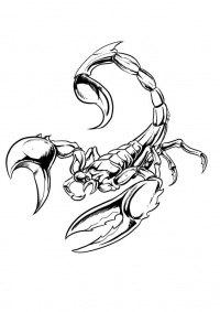 200x283 Scorpion Tattoo Designs