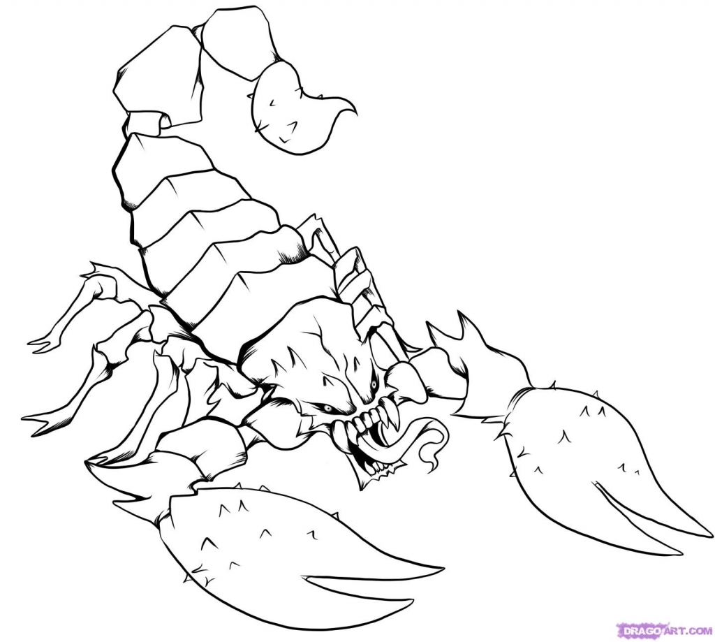 1024x919 Drawings Of Scorpions Draw A Scorpion Tattoo Step Step Drawing