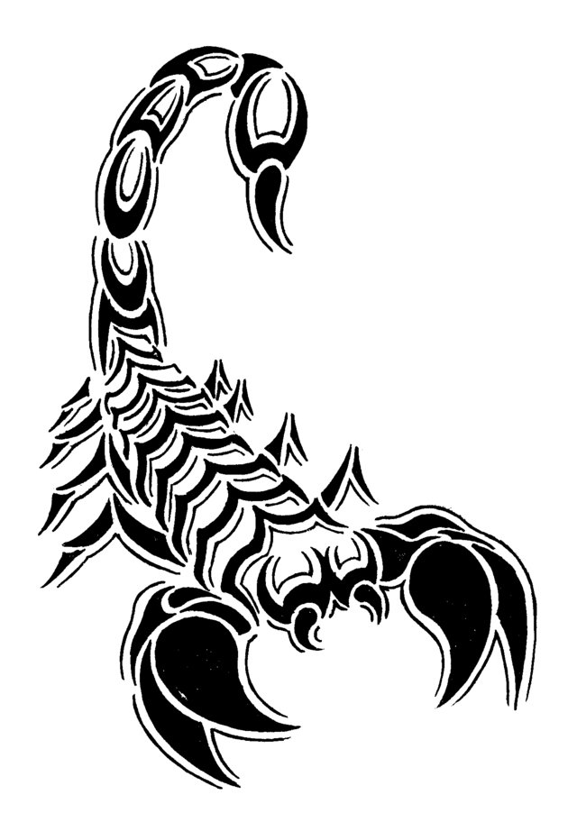 640x902 Drawn Scorpion Tribal Art