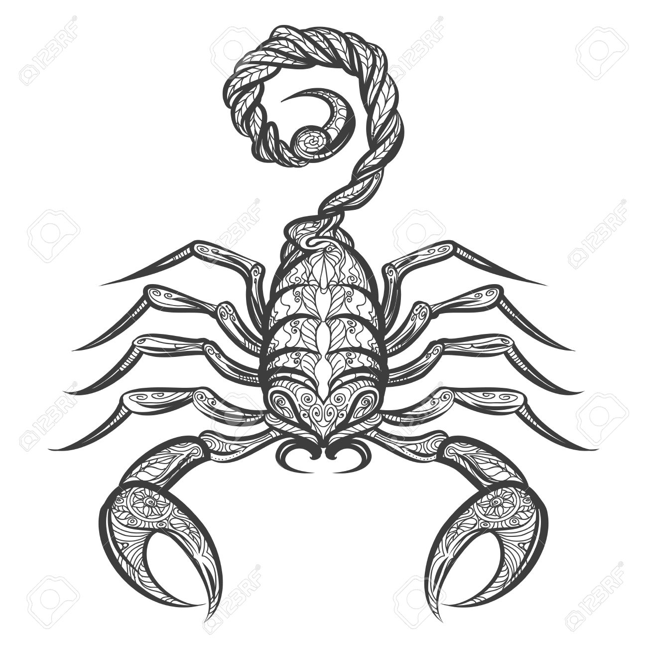 1299x1300 Drawn Scorpion