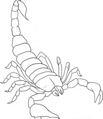 350x404 Drawn Scorpion Graffiti