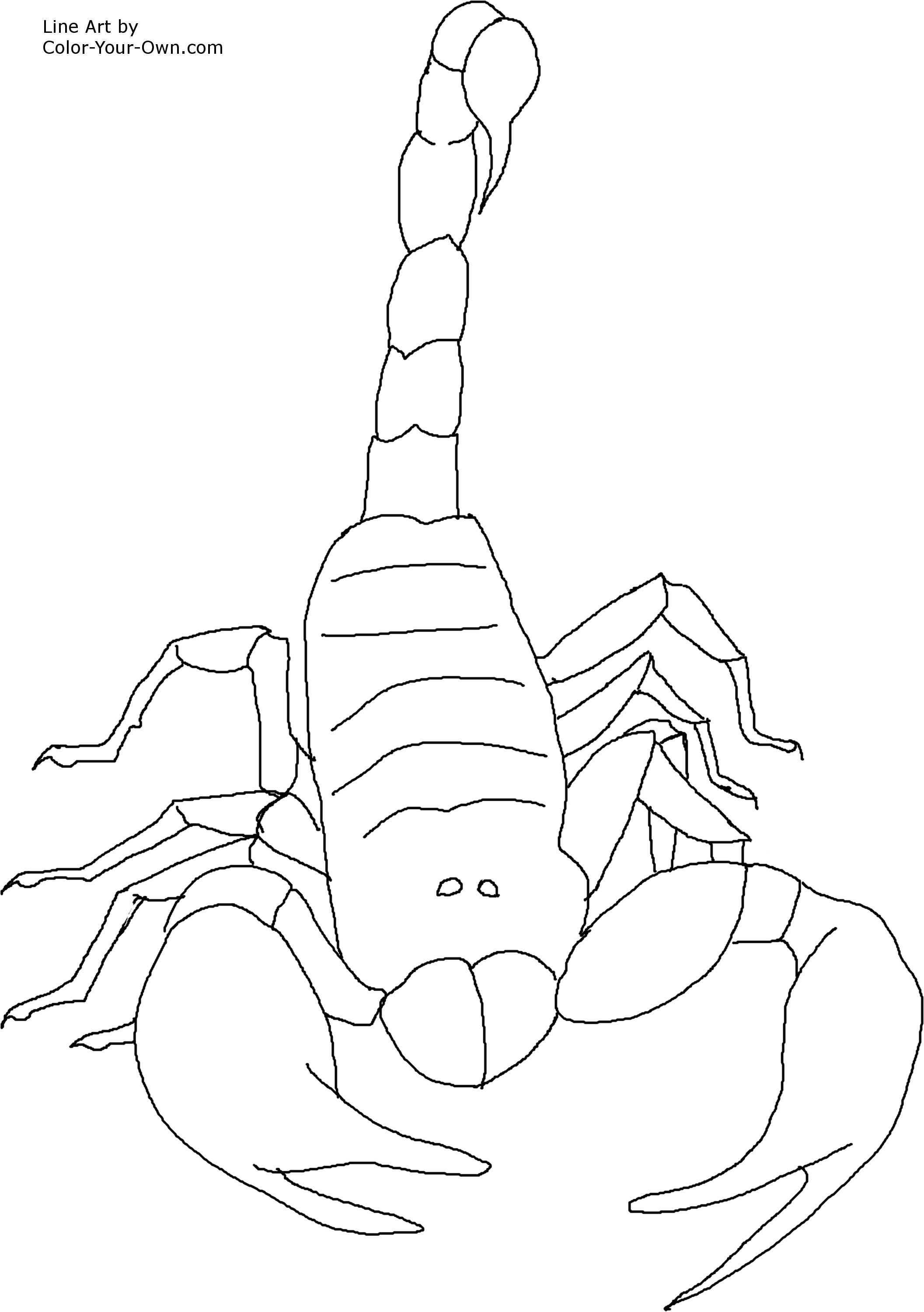 2113x3000 Free Printable Scorpion Coloring Pages For Kids