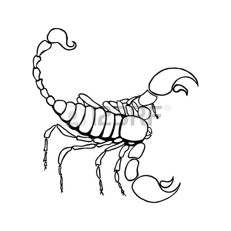 450x450 Scorpio Zodiac Sign In Horoscope. Vector Hand Drawing Scorpion