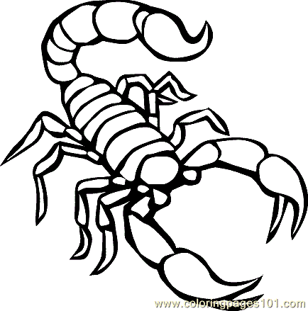 434x439 Scorpion Coloring Page Reptile Coloring Page 05 Coloring Page Free