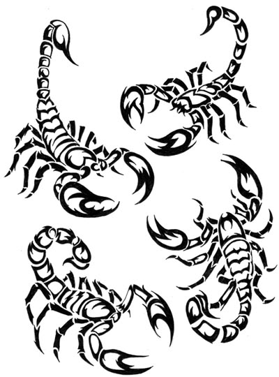 400x540 Scorpion Colouring Pages