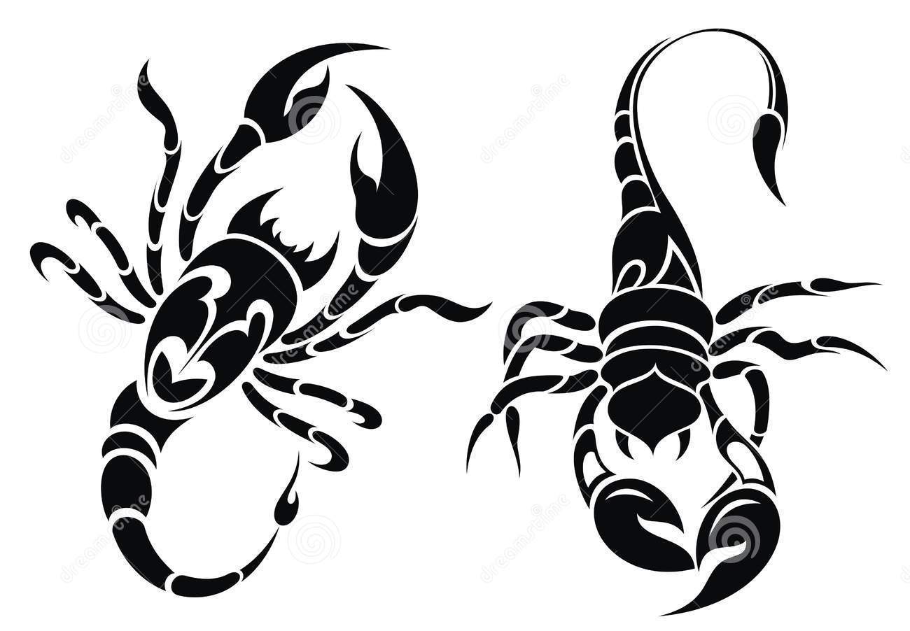 1300x902 Collection Of Hhand Drawn Scorpion Tattoos Set
