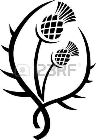 311x450 Milk Thistle Clipart