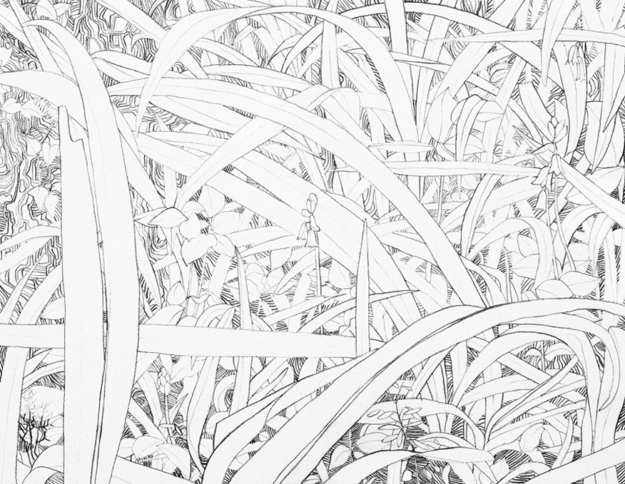 876x679 Adult Drawing Class