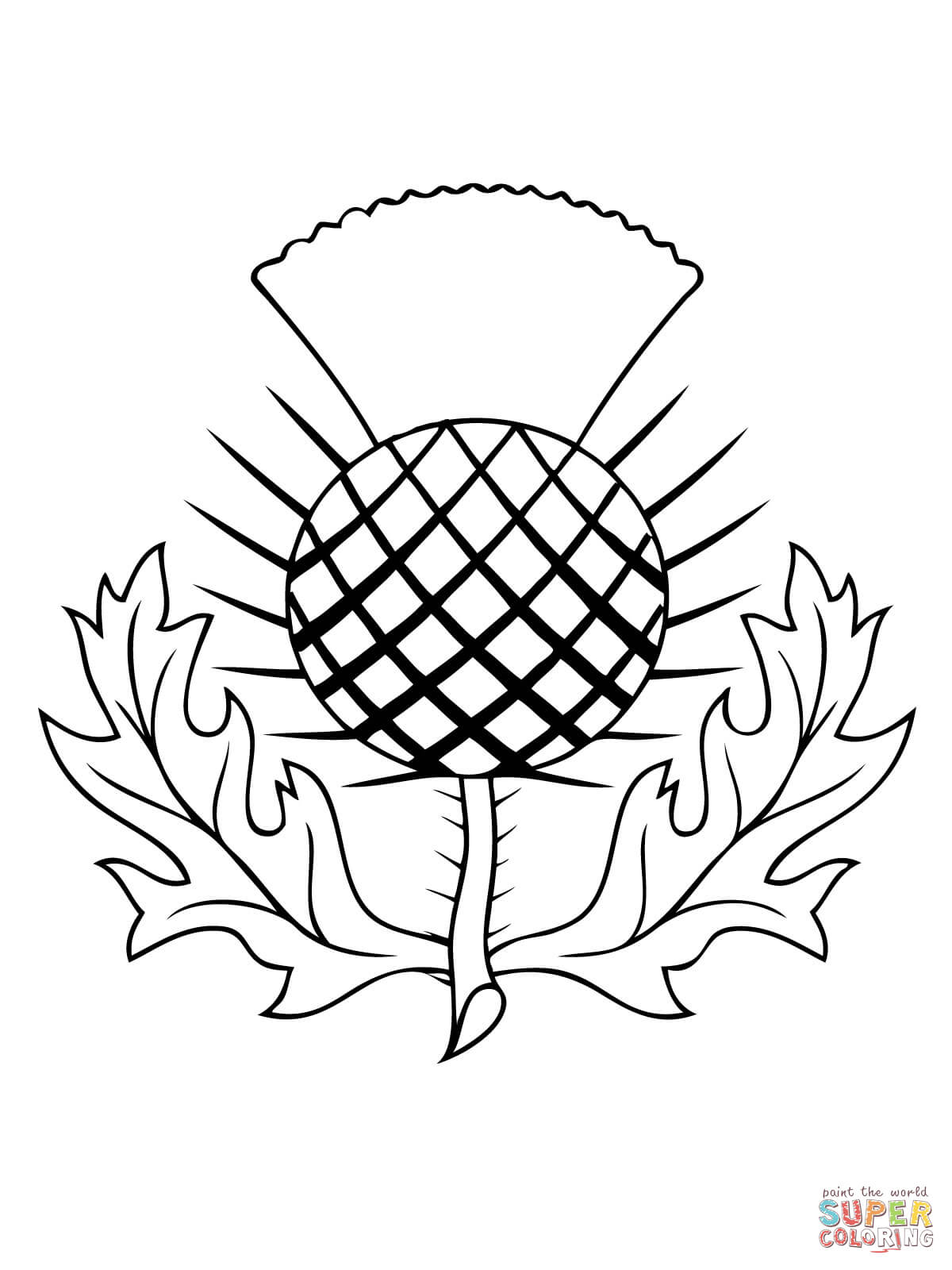 1200x1600 The Thistle Of Scotland Coloring Page Free Printable Coloring Pages