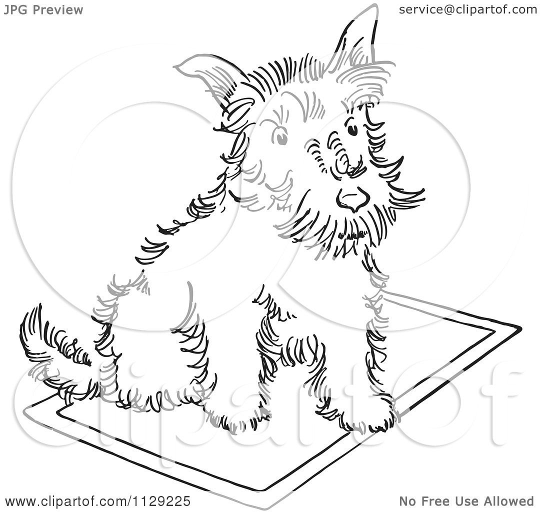 1080x1024 Cartoon Clipart Of An Outlined Scottie Dog On A Rug