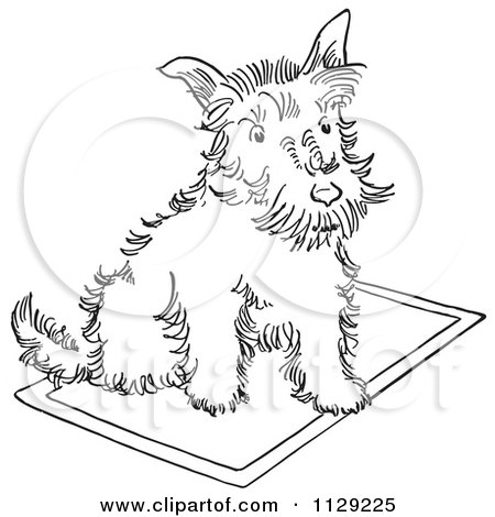 450x470 Clipart Of A Cartoon Scottie Dog In A Star Trek Shirt