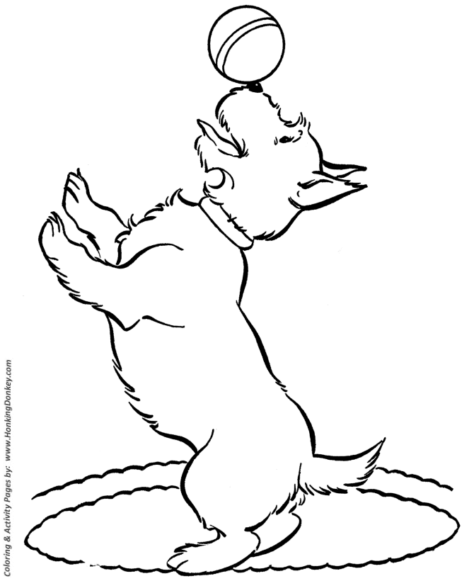 670x820 Dog Coloring Pages Printable Scottish Terrier Coloring Page