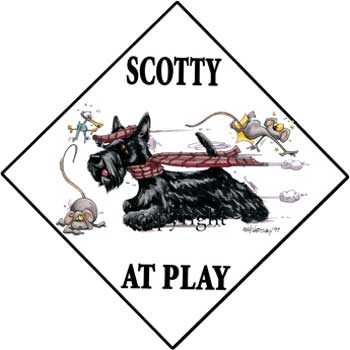 350x350 Scottish Terrier