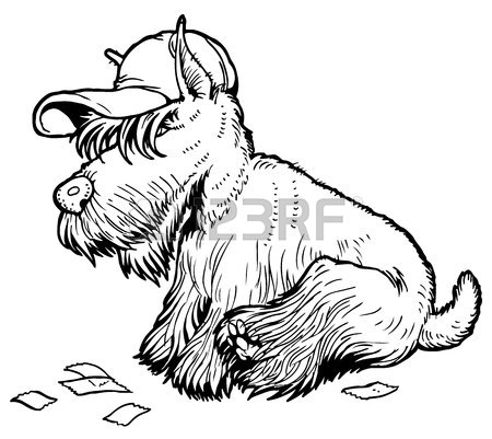 450x401 Vector Hipster Dog Scottish Terrier Breed In Hat Royalty Free