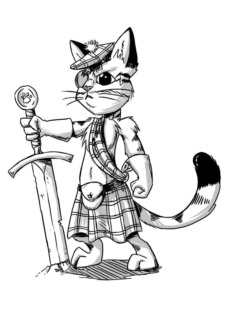 752x1063 Scottish Cat By Sonicpegasus