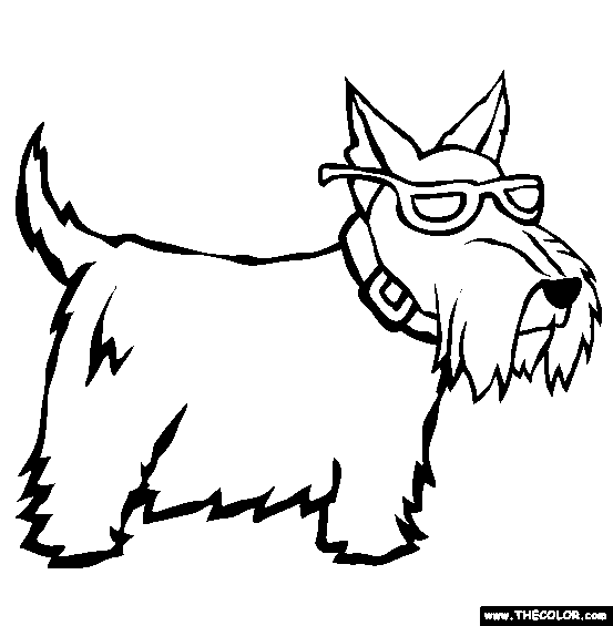 553x565 Scottish Terrier Coloring Pages