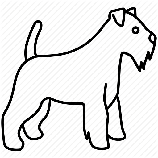 512x512 Airedale, Border, Dog, Pet, Scottish, Terrier, Wire Fox Icon