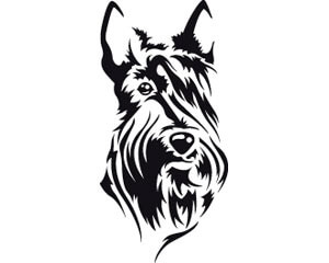 300x240 Scottish Terrier Dog Head Sticker
