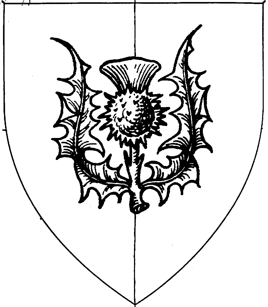 1062x1217 Scottish Thistle Line Drawing