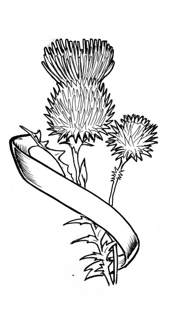 668x1194 Thistle Scottish Tattoo Of Simple Banner