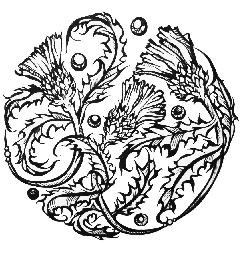 843x893 Thistle Tattoo Images