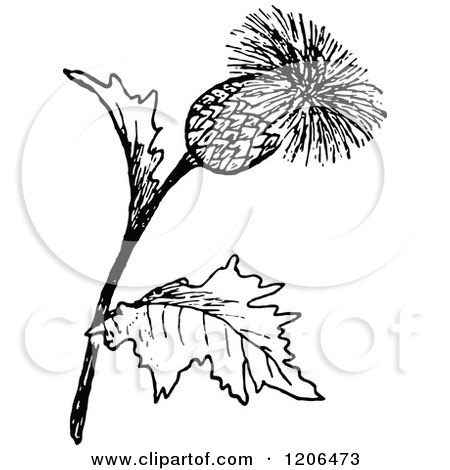 450x470 Clipart Of A Retro Vintage Black And White Thistle Flower