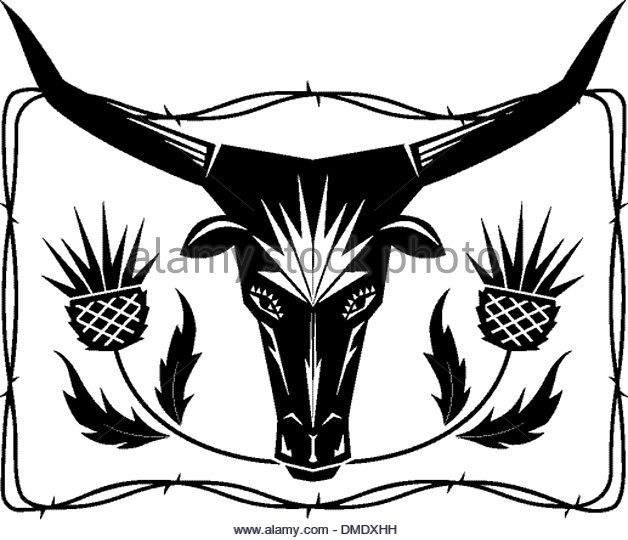 628x540 Thistle Black And White Stock Photos Amp Images