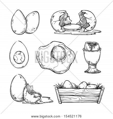 450x470 Hand Drawn Vector Illustration