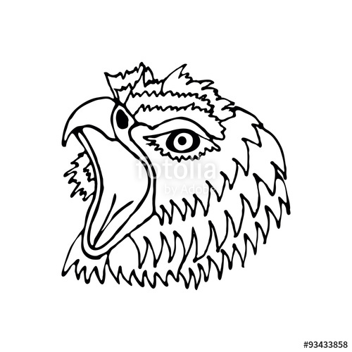 500x500 Hand Draw Head Screaming Hawk Can Be Used For , Logos , Icons