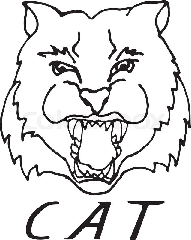 637x800 Hand Draw Head Screaming Tiger With Big Teeth In Black And White