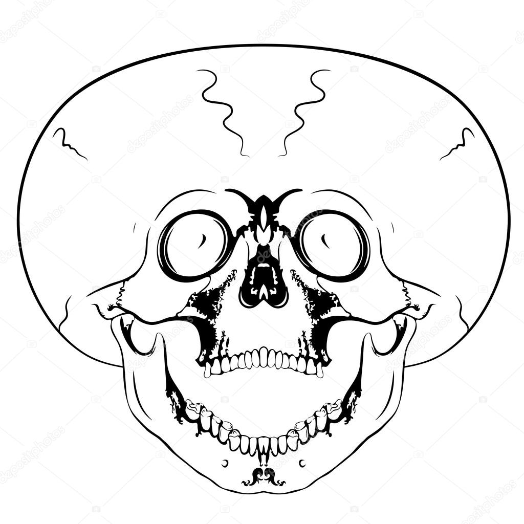 1024x1024 Screaming Skull Stock Vector Siloto