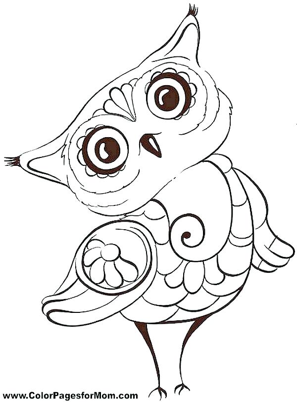 600x812 Barn Owl Coloring Page Snowy Owl Coloring Page Click To See