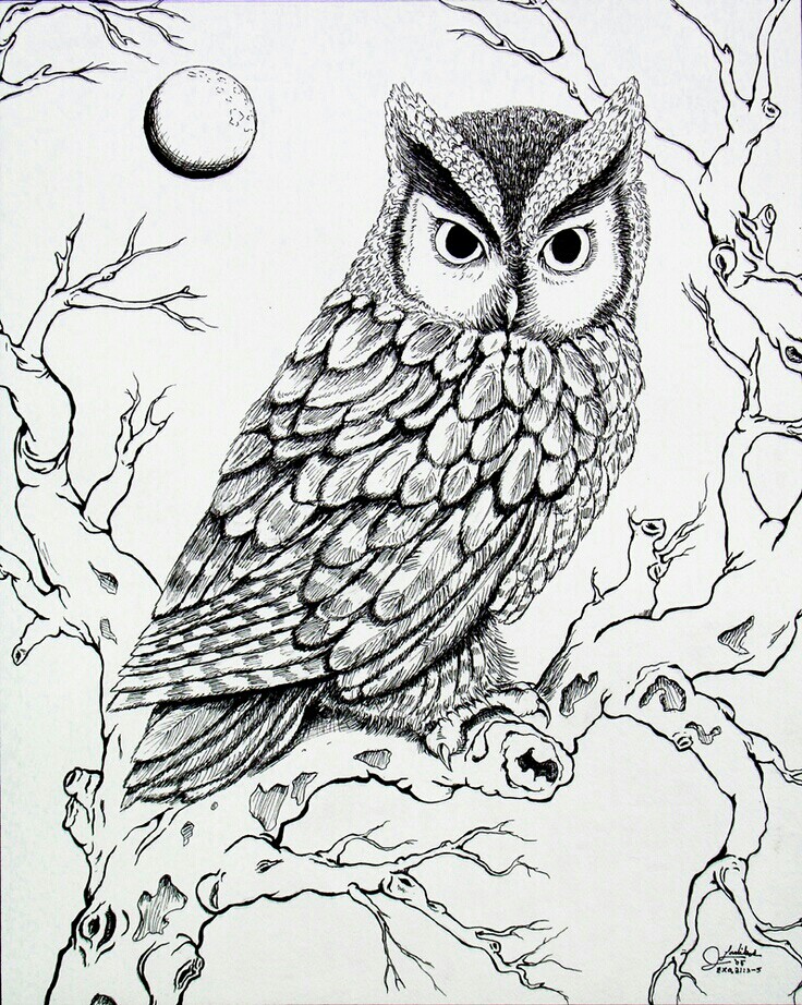 736x922 In The Snow Who's Been Here Great Horned Owl Color Page Snow